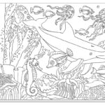 Raskrasil.com-Colorig-Pages-Marine Life-78