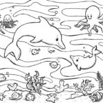 Raskrasil.com-Colorig-Pages-Marine Life-8