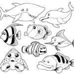 Raskrasil.com-Colorig-Pages-Marine Life-86