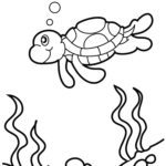 Raskrasil.com-Colorig-Pages-Marine Life-91