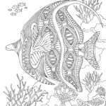 Raskrasil.com-Colorig-Pages-Marine Life-92