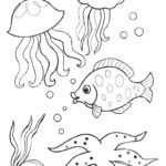 Raskrasil.com-Colorig-Pages-Marine Life-99