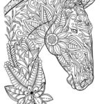Raskrasil.com-Coloring-Pages-Animal-for-Adults-1