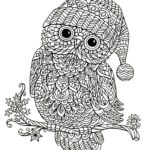 Raskrasil.com-Coloring-Pages-Animal-for-Adults-11