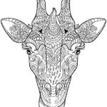 Raskrasil.com-Coloring-Pages-Animal-for-Adults-13
