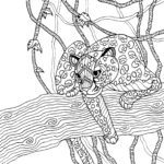 Raskrasil.com-Coloring-Pages-Animal-for-Adults-18