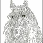 Raskrasil.com-Coloring-Pages-Animal-for-Adults-25