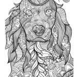Raskrasil.com-Coloring-Pages-Animal-for-Adults-27