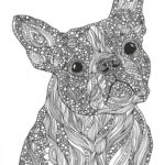 Raskrasil.com-Coloring-Pages-Animal-for-Adults-33