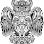 Raskrasil.com-Coloring-Pages-Animal-for-Adults-4