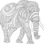 Raskrasil.com-Coloring-Pages-Animal-for-Adults-53