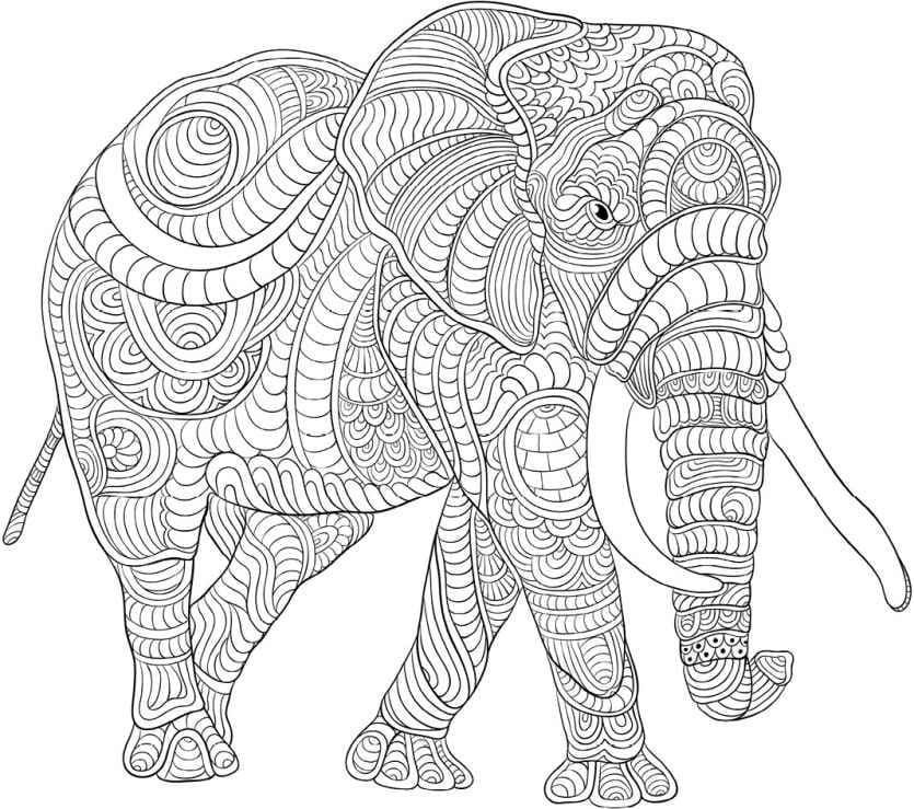 Raskrasil.com-Coloring-Pages-Animal-for-Adults-53
