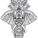 Raskrasil.com-Coloring-Pages-Animal-for-Adults-54
