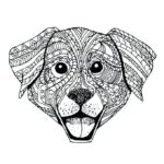 Raskrasil.com-Coloring-Pages-Animal-for-Adults-6