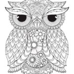 Raskrasil.com-Coloring-Pages-Animal-for-Adults-65