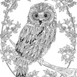Raskrasil.com-Coloring-Pages-Animal-for-Adults-68