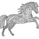 Raskrasil.com-Coloring-Pages-Animal-for-Adults-76