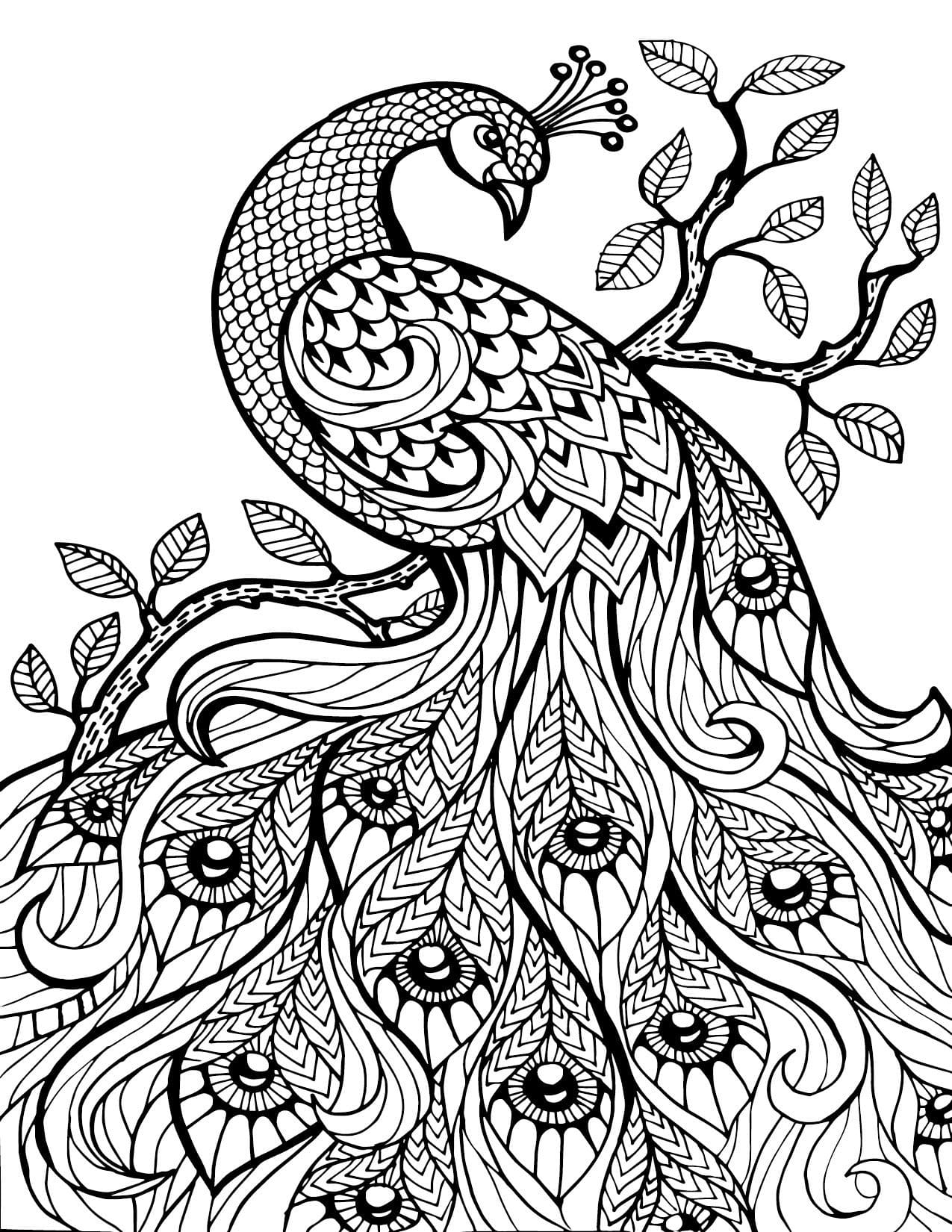 Raskrasil.com-Coloring-Pages-Animal-for-Adults-84