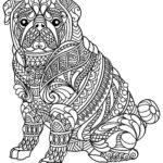 Raskrasil.com-Coloring-Pages-Animal-for-Adults-89