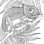 Raskrasil.com-Coloring-Pages-Animal-for-Adults-9
