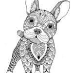 Raskrasil.com-Coloring-Pages-Animal-for-Adults-96