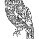 Raskrasil.com-Coloring-Pages-Animal-for-Adults-97