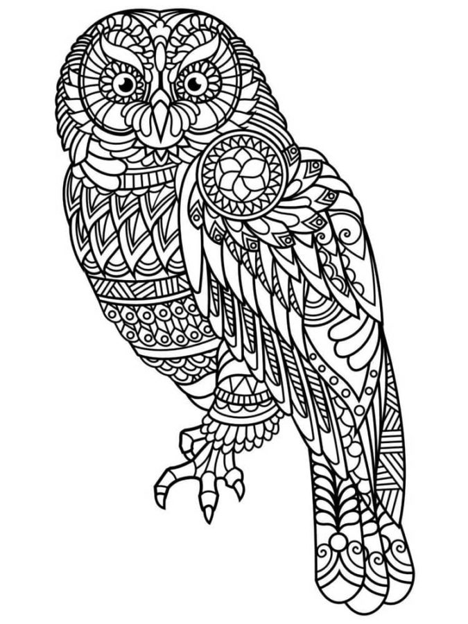 Animals Coloring Pages for Adults