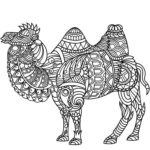 Previous Attachment