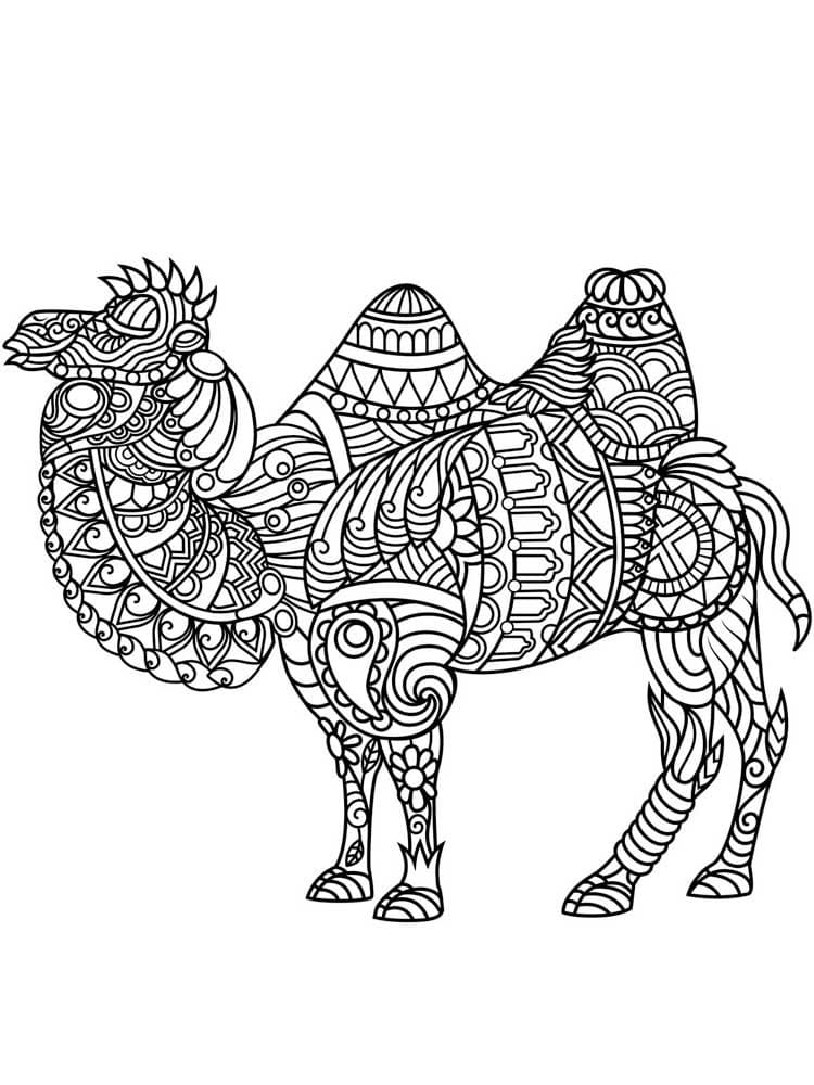 Raskrasil.com-Coloring-Pages-Animal-for-Adults-99
