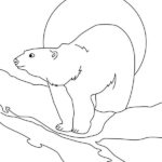 Raskrasil.com-Coloring-Pages-Arctic-Animals-10