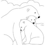 Raskrasil.com-Coloring-Pages-Arctic-Animals-100