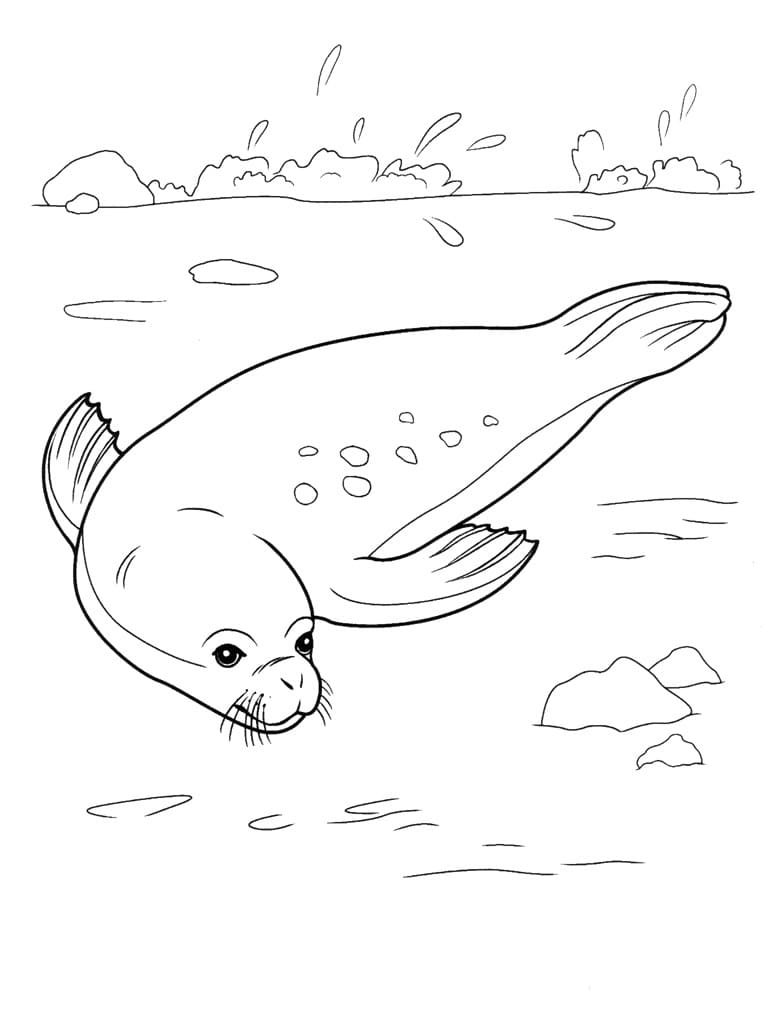 Raskrasil.com-Coloring-Pages-Arctic-Animals-105