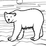 Raskrasil.com-Coloring-Pages-Arctic-Animals-11