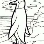 Raskrasil.com-Coloring-Pages-Arctic-Animals-115