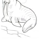 Raskrasil.com-Coloring-Pages-Arctic-Animals-117