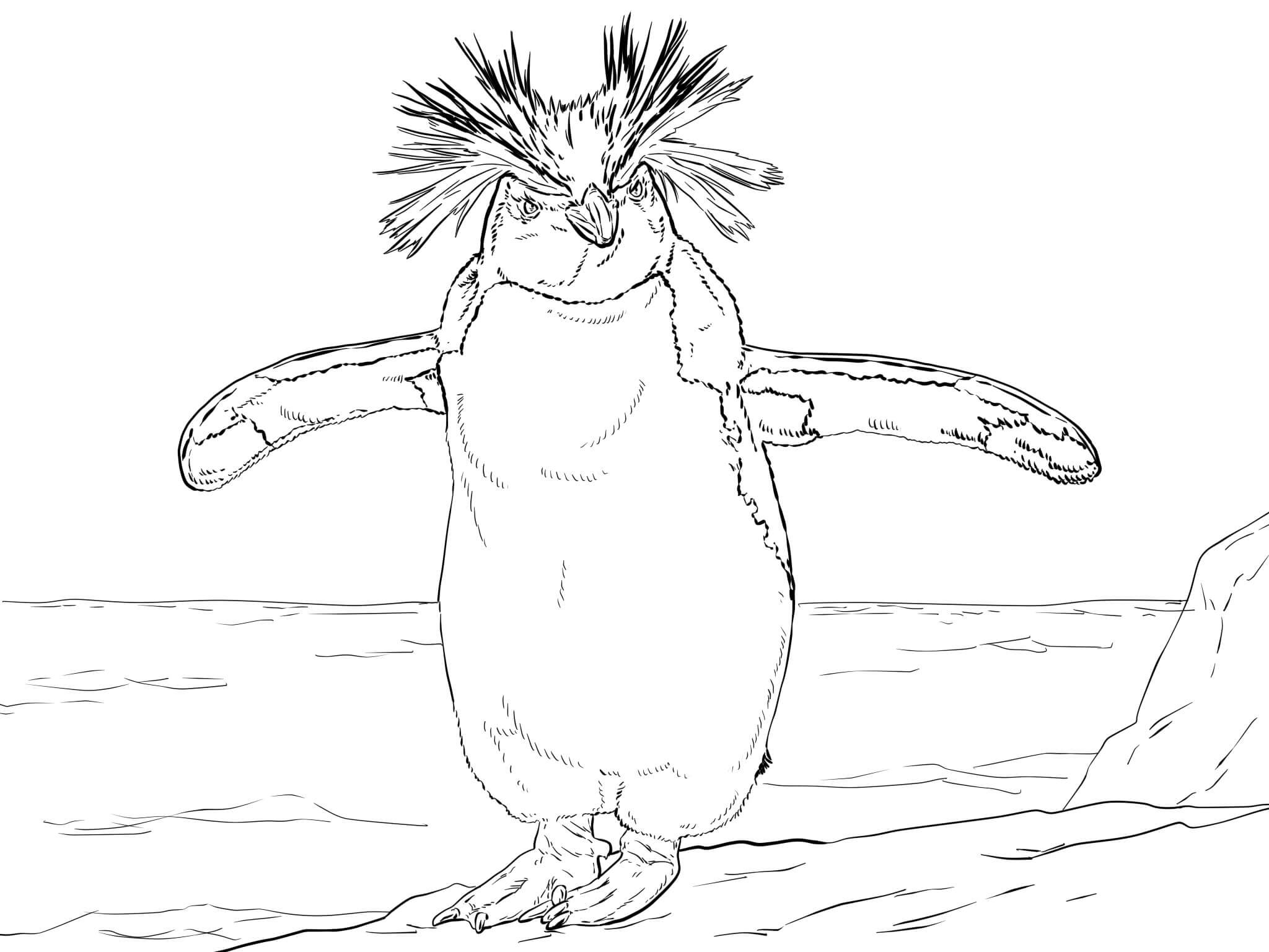 Raskrasil.com-Coloring-Pages-Arctic-Animals-123