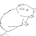Raskrasil.com-Coloring-Pages-Arctic-Animals-124