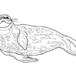 Raskrasil.com-Coloring-Pages-Arctic-Animals-126