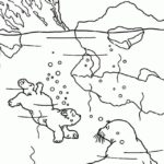 Raskrasil.com-Coloring-Pages-Arctic-Animals-14