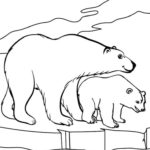 Raskrasil.com-Coloring-Pages-Arctic-Animals-18