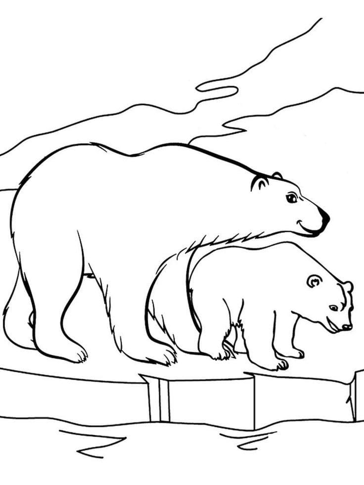 Raskrasil.com-Coloring-Pages-Arctic-Animals-18