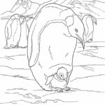 Raskrasil.com-Coloring-Pages-Arctic-Animals-20