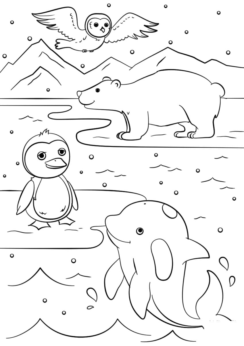 Raskrasil.com-Coloring-Pages-Arctic-Animals-21