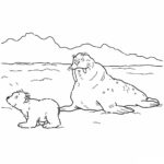 Raskrasil.com-Coloring-Pages-Arctic-Animals-23