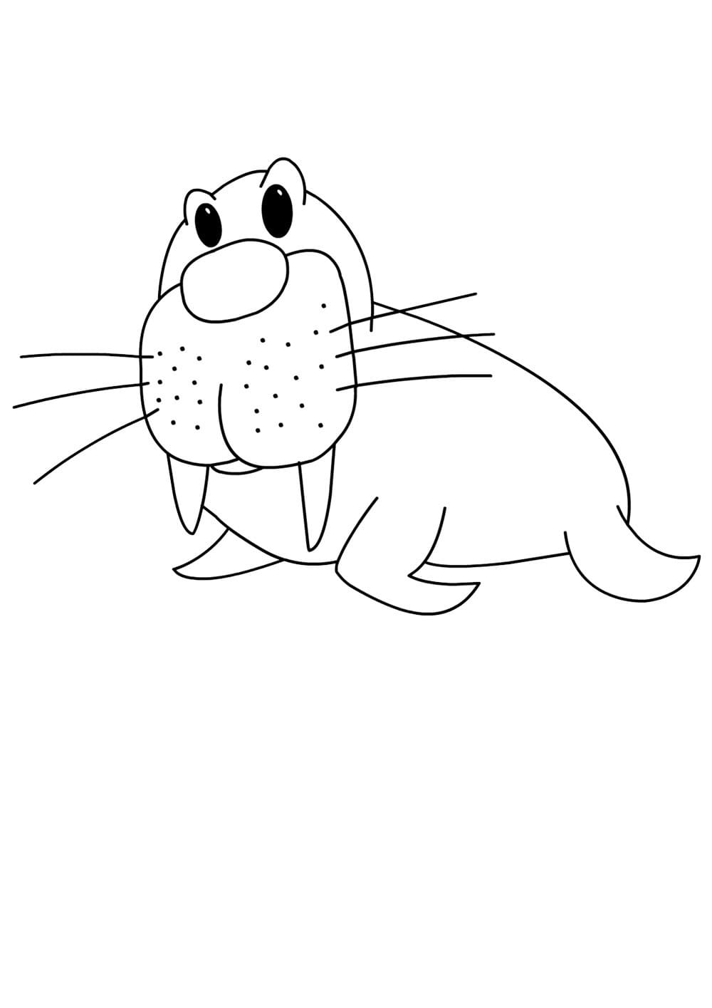 Raskrasil.com-Coloring-Pages-Arctic-Animals-25