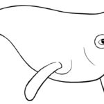 Raskrasil.com-Coloring-Pages-Arctic-Animals-27