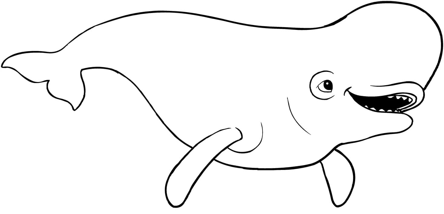 Raskrasil.com-Coloring-Pages-Arctic-Animals-27