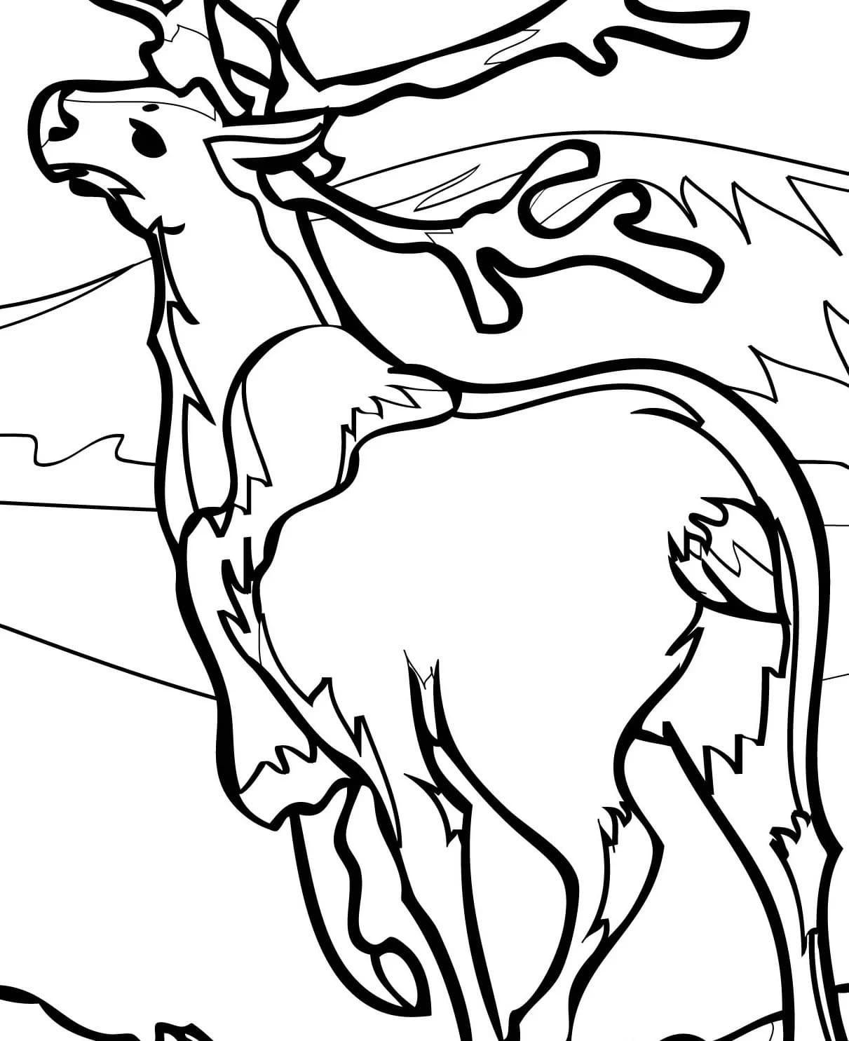 Raskrasil.com-Coloring-Pages-Arctic-Animals-28