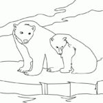 Raskrasil.com-Coloring-Pages-Arctic-Animals-3