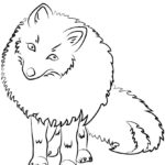 Raskrasil.com-Coloring-Pages-Arctic-Animals-31